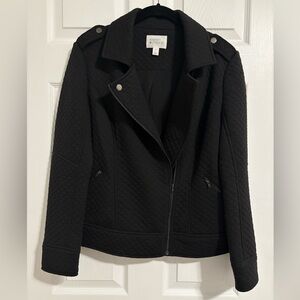 Market & Spruce Black Quilted Moto Jacket